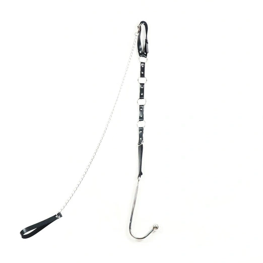 Leash Hook Collar 5853 and with Anal EverydayUse Kinky 0919